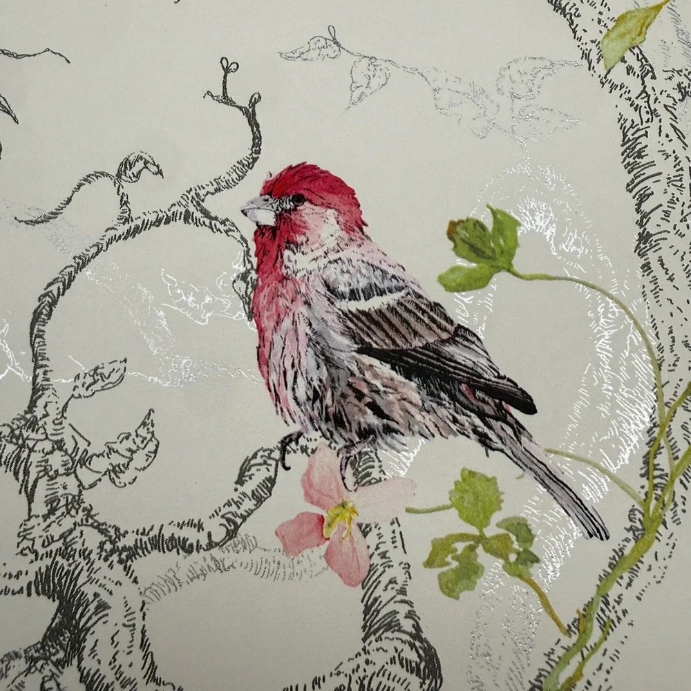 Holden Decor Statement Ornithology White/Multi Wallpaper 4 Rolls Bird Nature